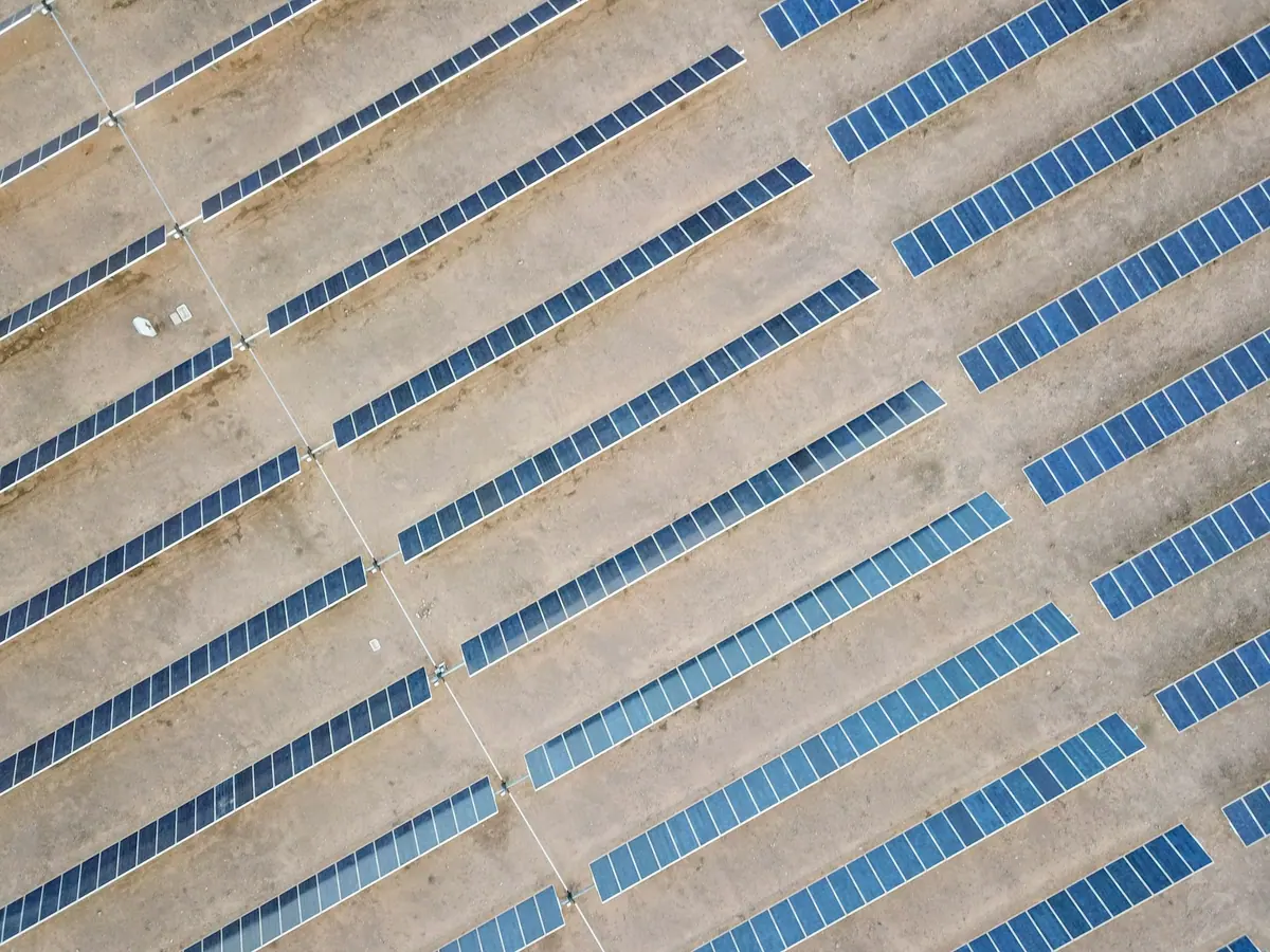 Rows of solar panels on open ground, from above